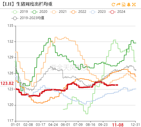 生猪：如何看待11月下半月行情？