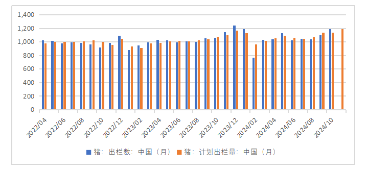 生猪：如何看待11月下半月行情？